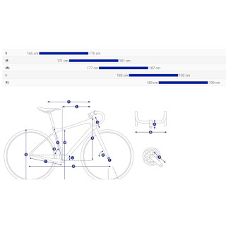 Giant defy advanced 2 best sale size guide