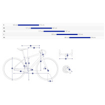 Giant - TCR Advanced 1 Disc Gen. X Komplettrad Shimano 105 Di2 2x12 - Asphalt Green (2025)